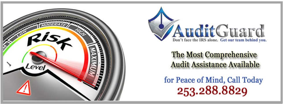 Audit Guard Protection